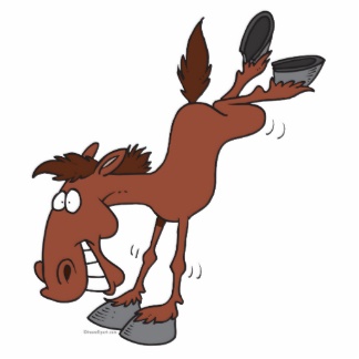 donkey kicks