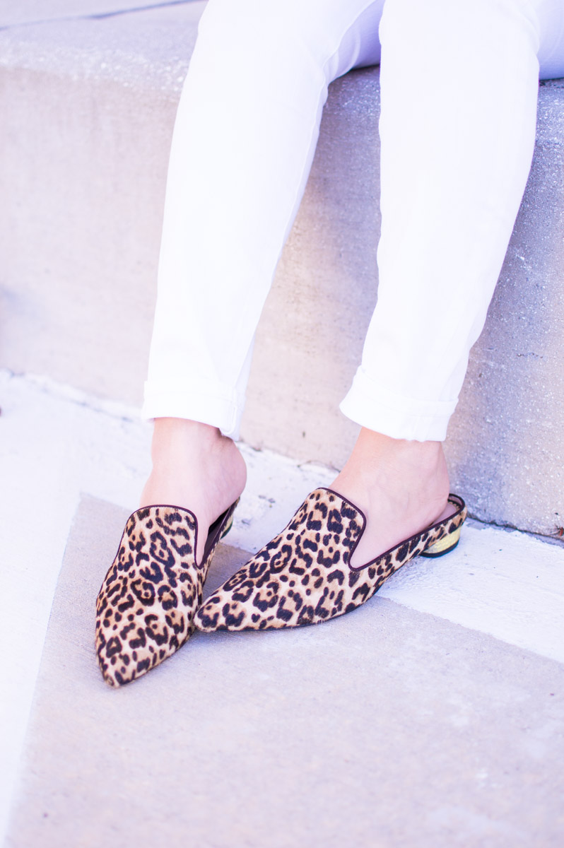 Sam Edelman leopard Augustine flats_pointed leopard flats_leopard mules_leopard slides