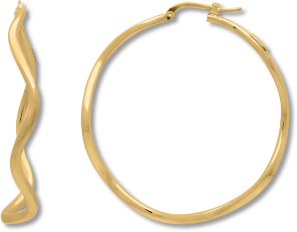 Gold Hoop Earrings