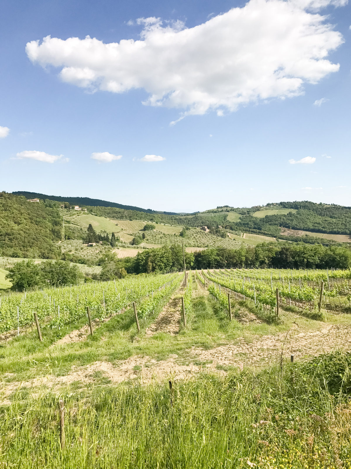 Tuscany wine tasting