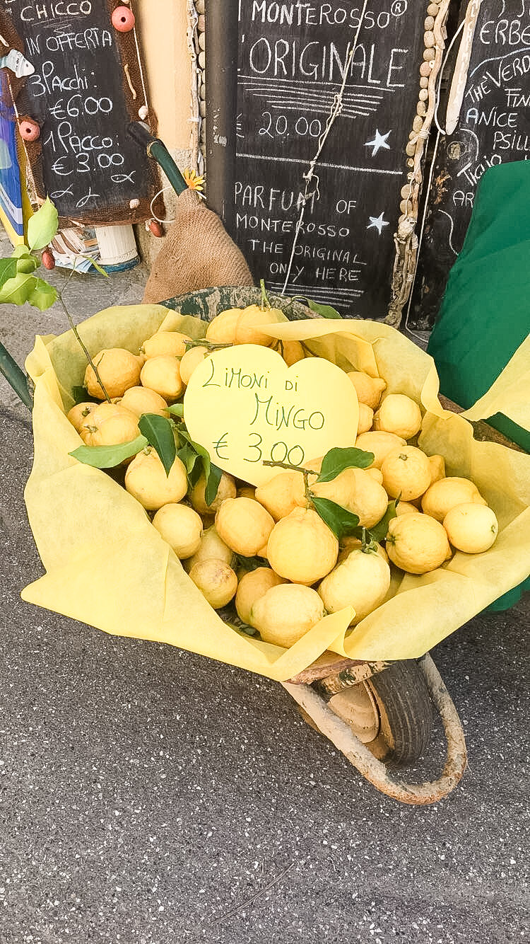 tuscany cinque terre lemon festival Monterosso 